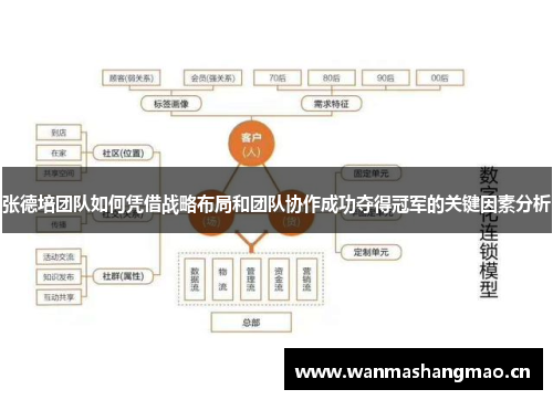 张德培团队如何凭借战略布局和团队协作成功夺得冠军的关键因素分析